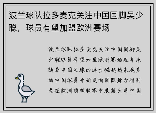 波兰球队拉多麦克关注中国国脚吴少聪，球员有望加盟欧洲赛场