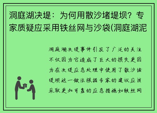 洞庭湖决堤：为何用散沙堵堤坝？专家质疑应采用铁丝网与沙袋(洞庭湖泥沙)